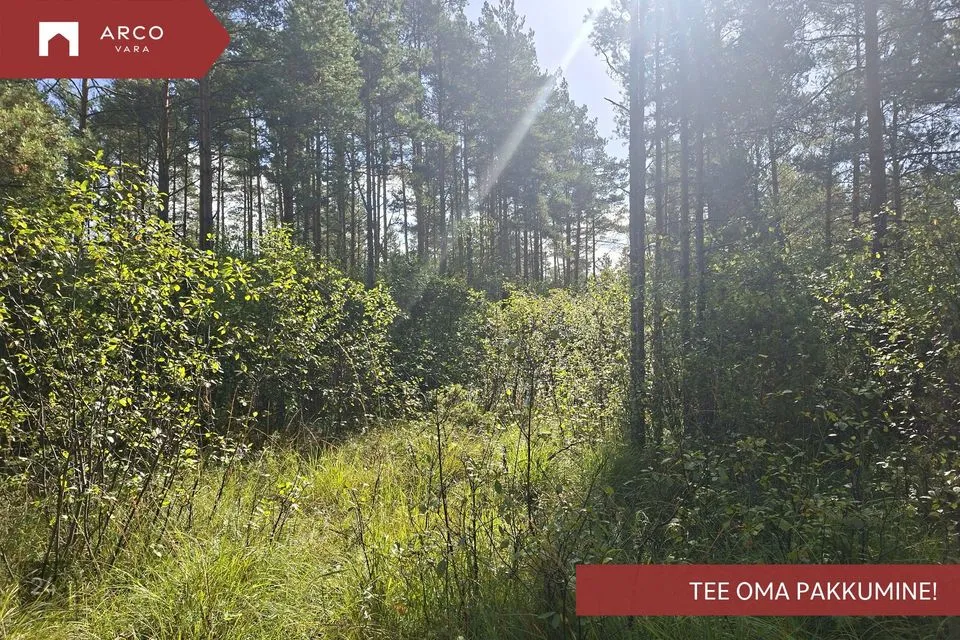 Maatulundusmaa, 136296 m² Maa - Saaremaa vald, Ööriku küla - foto 4