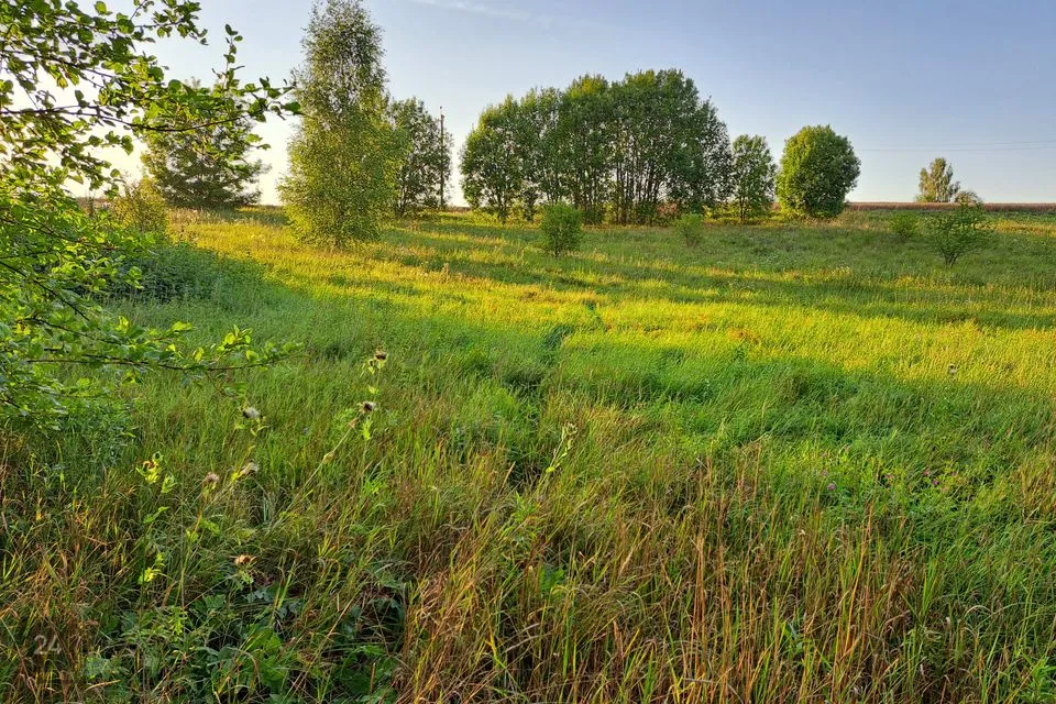 Elamumaa, 5073 m² Maa  -  Tartu vald, Erala küla - foto 2