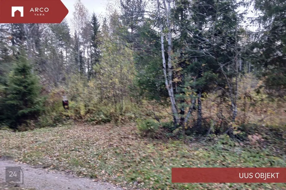 Elamumaa, 3769 m² Maa - Saue vald, Kibuna küla - foto 3