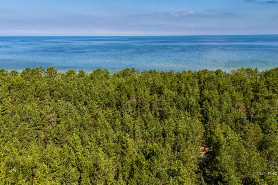 Residential land, 7254 m² land in Lääne-Harju vald, Laulasmaa küla - photo 3