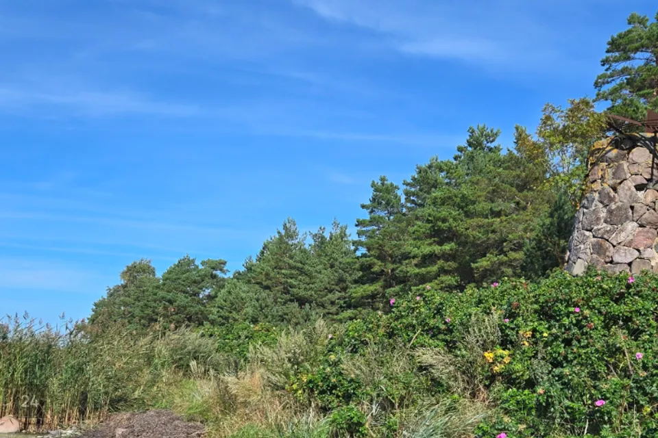 Maatulundusmaa, 59985 m² Maa  -  Lääne-Nigula vald, Telise küla / Tällnäs - foto 2