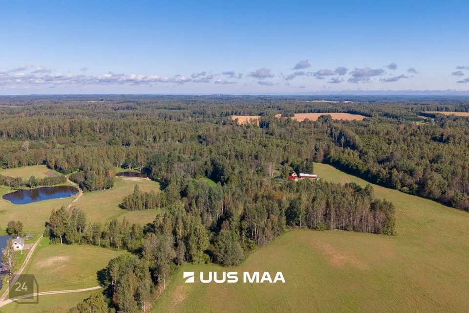 Maatulundusmaa, 44076 m² Maa - Kanepi vald, Karste küla - foto 2