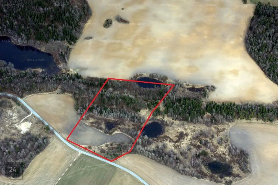 Maatulundusmaa, 35699 m² участок в Vinni vald, Mõdriku küla - фото 3