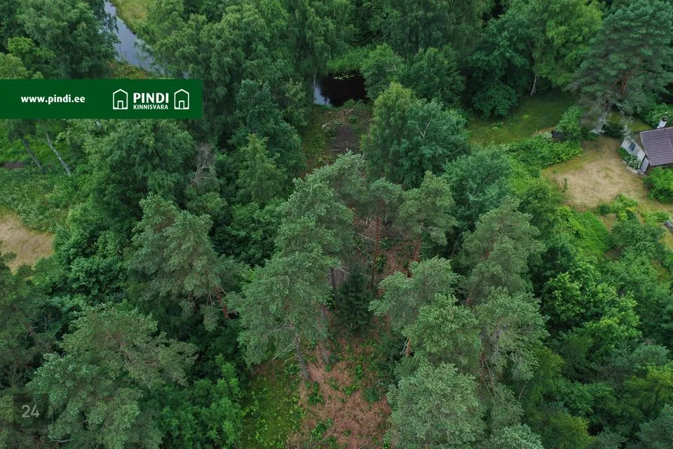 Elamumaa, 1535 m² Maa - Alutaguse vald, Alajõe küla - foto 5