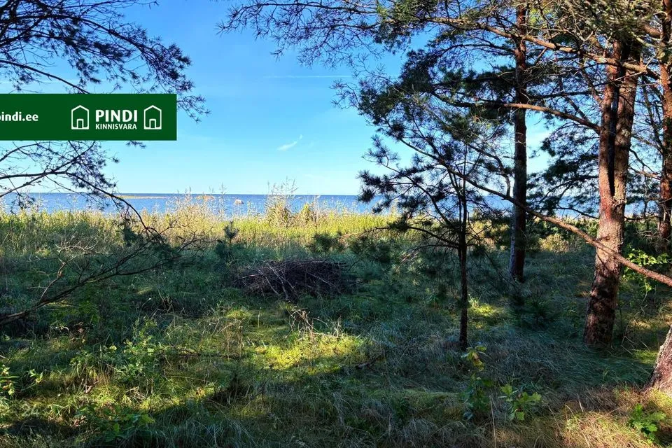 Maatulundusmaa, 9613 m² Maa  -  Viru-Nigula vald, Letipea küla - foto 4