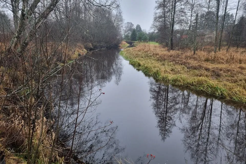 Elamumaa, 1535 m² Maa - Alutaguse vald, Alajõe küla - foto 4