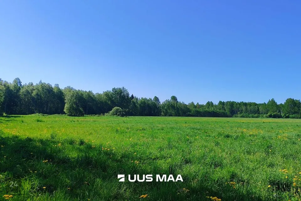Maatulundusmaa, 17588 m² Maa - Lääne-Harju vald, Suurküla - foto 2