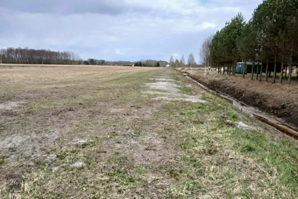 Maatulundusmaa, 20086 m² участок в Pärnu linn, Papsaare küla