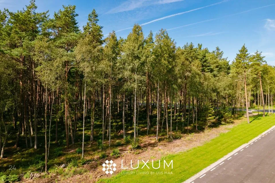 Elamumaa, 3301 m² Maa - Viimsi vald, Pringi küla - foto 3