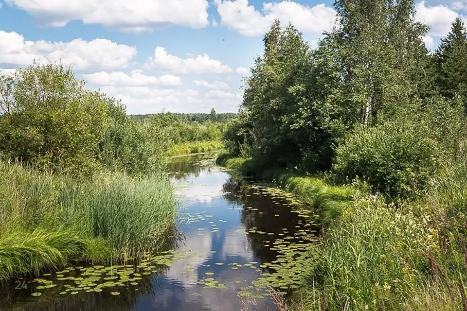 Земля жилой застройки, 12300 m² участок в Häädemeeste vald, Lepaküla - фото 3
