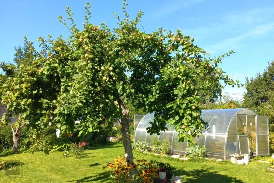 4-toaline Maja  -  Viimsi vald, Muuga küla - foto 2