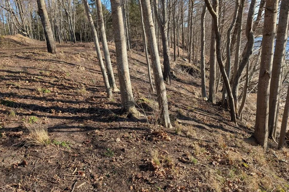 Elamumaa, 4983 m² Maa  -  Kuusalu vald, Suurpea küla - foto 4