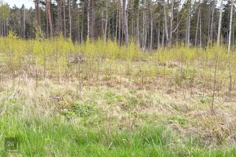 Maatulundusmaa, 60038 m² участок в Hiiumaa vald, Mänspe küla - фото 4