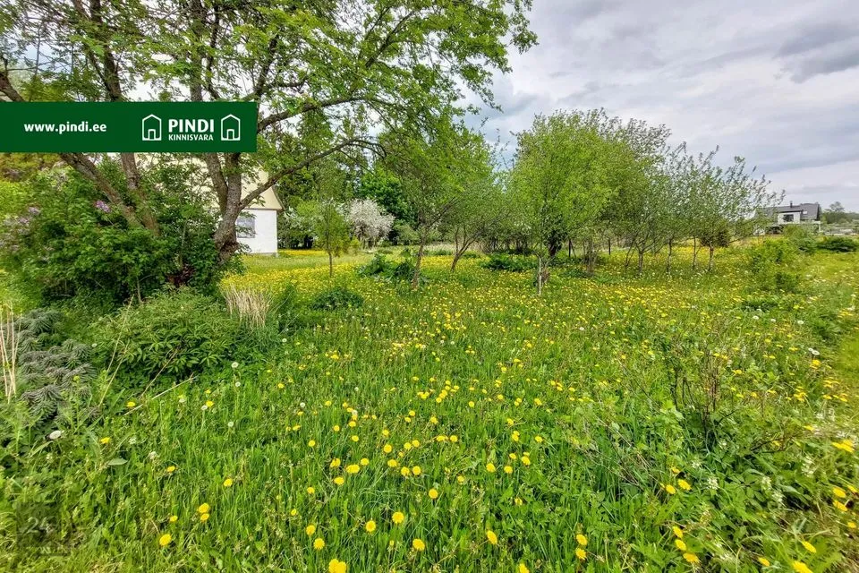 Земля жилой застройки, 14964 m² участок в Alutaguse vald, Mäetaguse alevik - фото 5