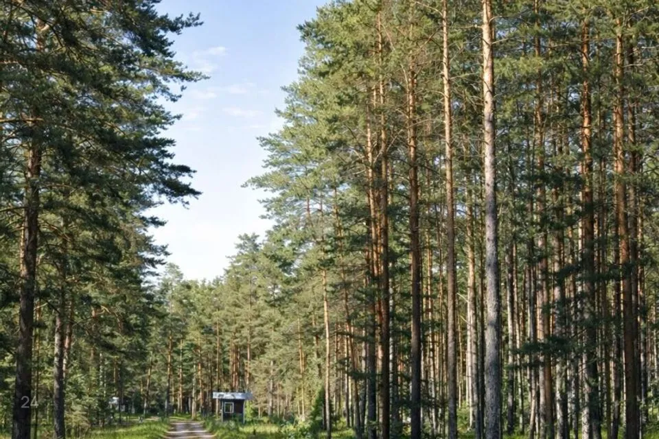 Земля жилой застройки, 1938 m² участок в Narva-Jõesuu linn, Narva-Jõesuu linn - фото 3