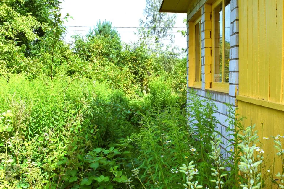 1-toaline Maja  -  Jõhvi vald, Kotinuka küla - foto 2