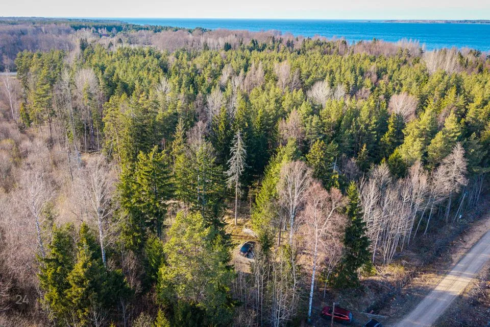 Земля жилой застройки, 3000 m² участок в Lääne-Harju vald, Kersalu küla - фото 4