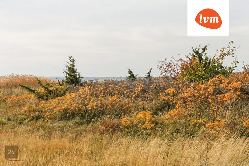Maatulundusmaa, 5798 m² Maa - Viimsi vald, Kelnase küla - foto 3