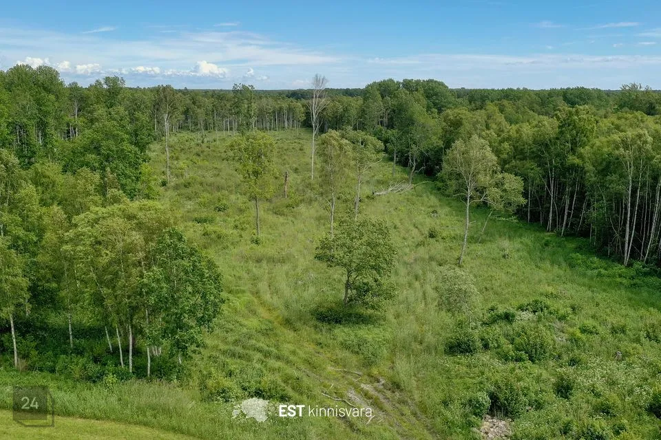 73294 m² Maa - Saaremaa vald, Audla küla - foto 3