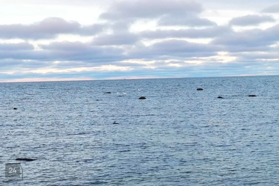 Elamumaa, 12495 m² Maa  -  Lääne-Harju vald, Keibu küla - foto 3