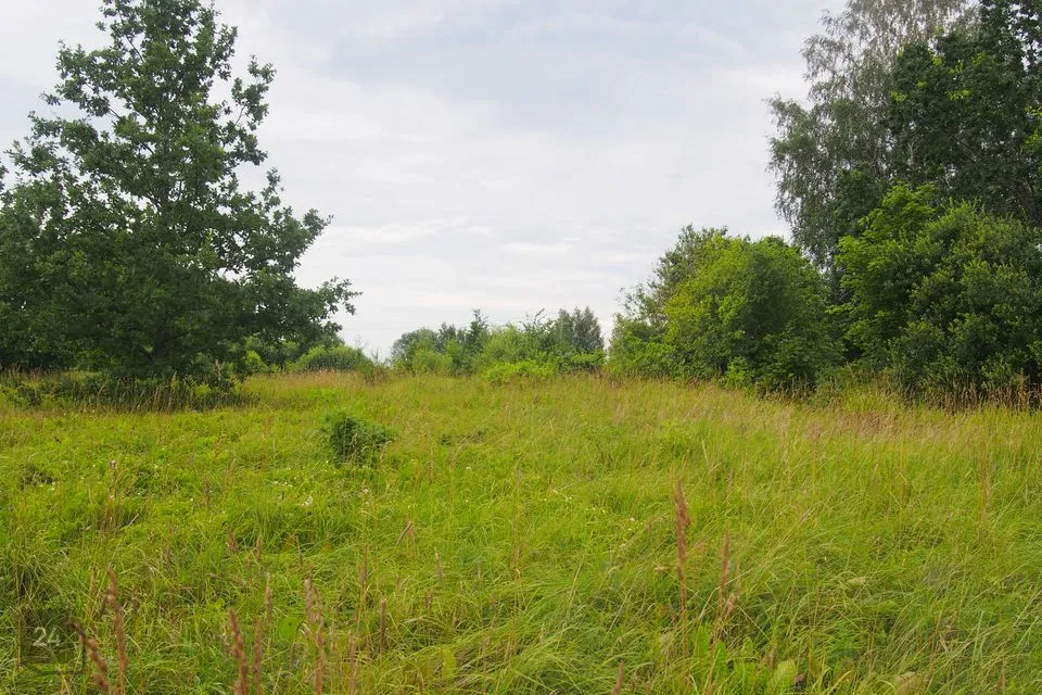 Maatulundusmaa, 30920 m² участок в Pärnu linn, Aruvälja küla - фото 4