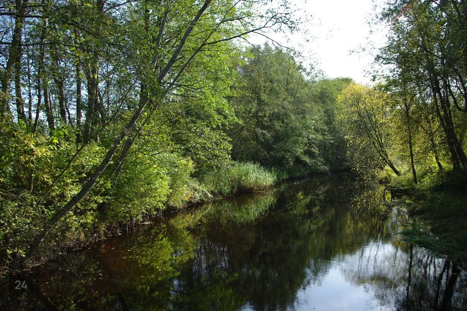 Maatulundusmaa, 16879 m² Maa - Pärnu linn, Lemmetsa küla