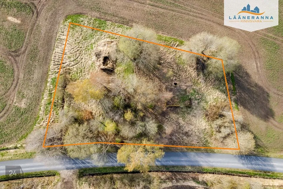 Sihtotstarbeta maa, 3126 m² Maa - Türi vald, Vilita küla