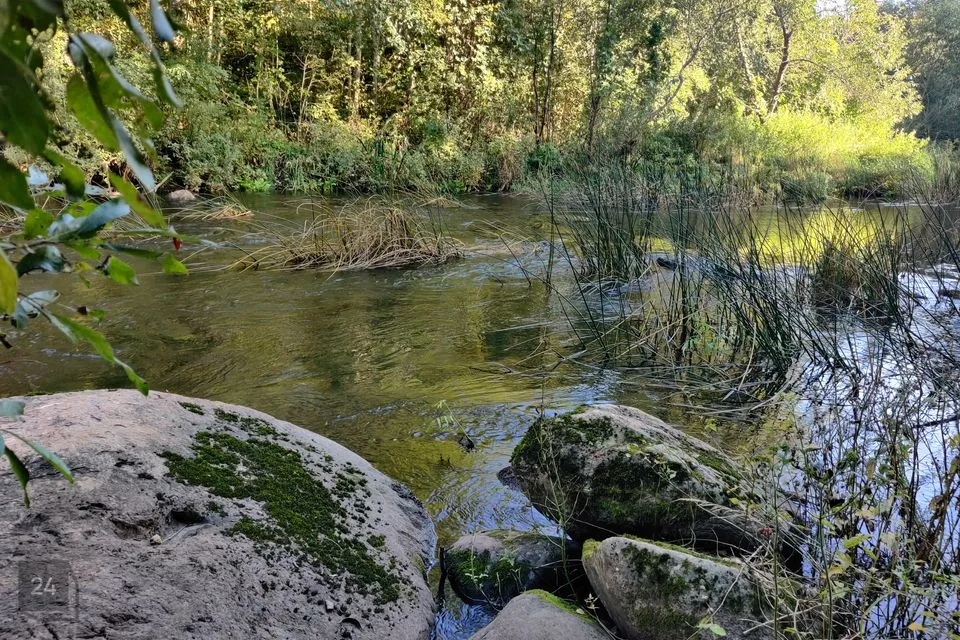 Maatulundusmaa, 9598 m² Maa  -  Saarde vald, Kanaküla - foto 2