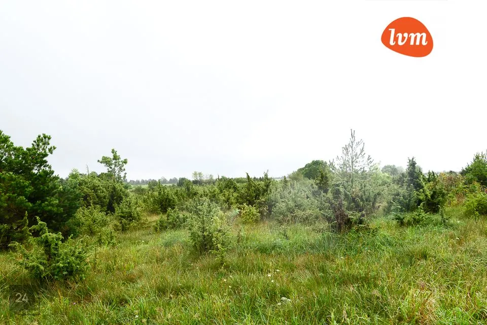 Maatulundusmaa, 52400 m² Maa - Saaremaa vald, Suure-Rootsi - foto 2