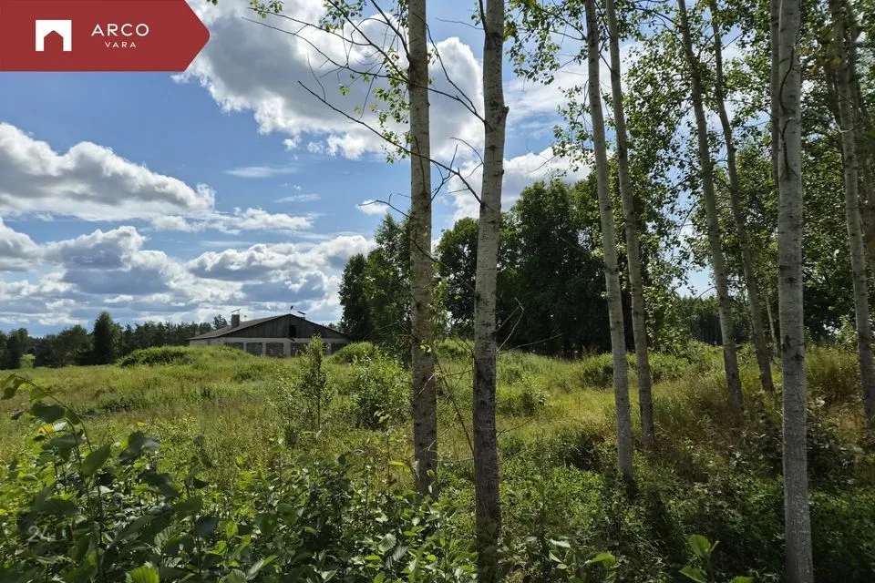 Tootmine, 930 m² Äripind  -  Põlva vald, Andre küla - foto 2