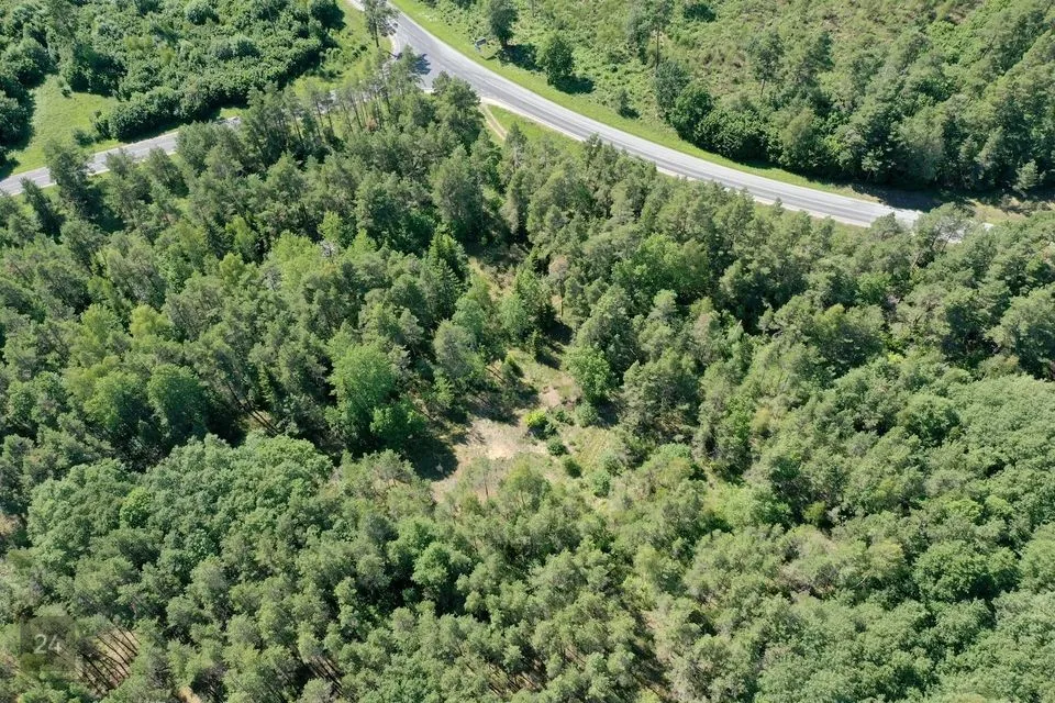 Maatulundusmaa, 19881 m² Maa  -  Saaremaa vald, Liiva-Putla küla - foto 4