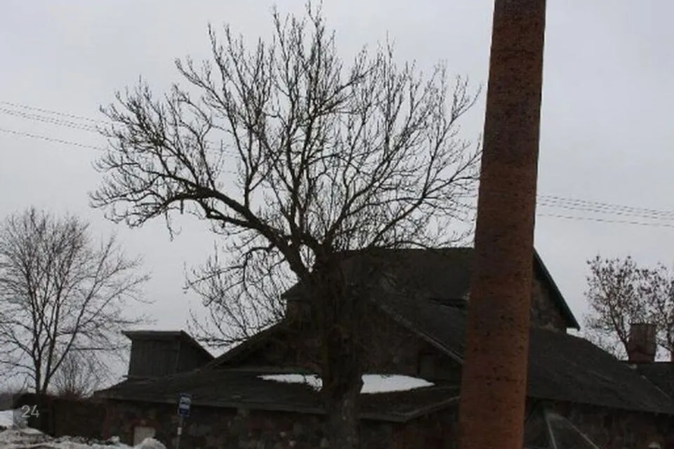 749 m² Maja - Viru-Nigula vald, Selja küla - foto 5