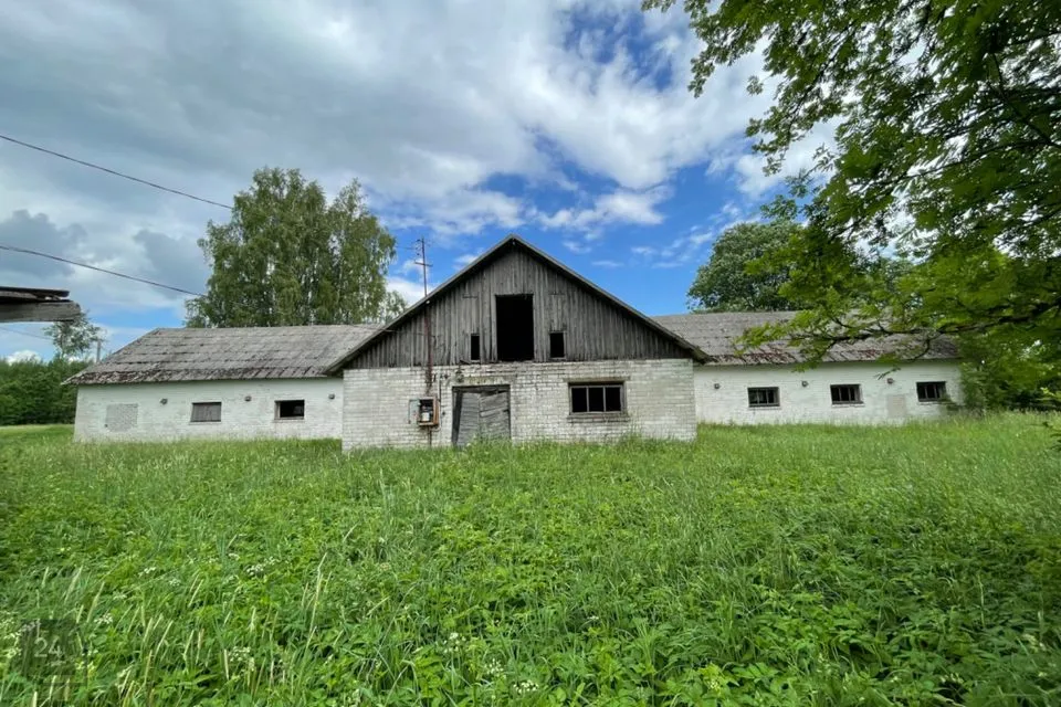 Ladu või Tootmine, 180 m² Äripind - Türi vald, Kurla küla - foto 3