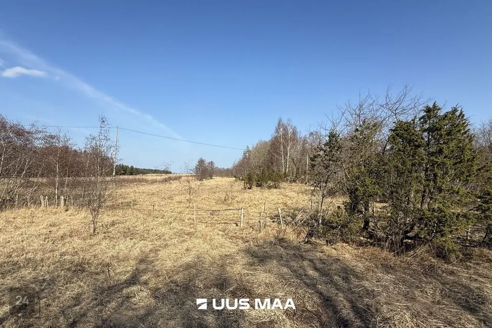 Cultivated land, 14191 m² land in Saaremaa vald, Oitme küla - photo 4