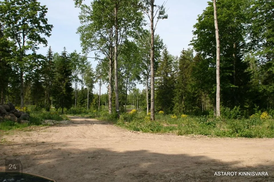 Elamumaa, 4002 m² Maa  -  Raasiku vald, Kalesi küla - foto 3