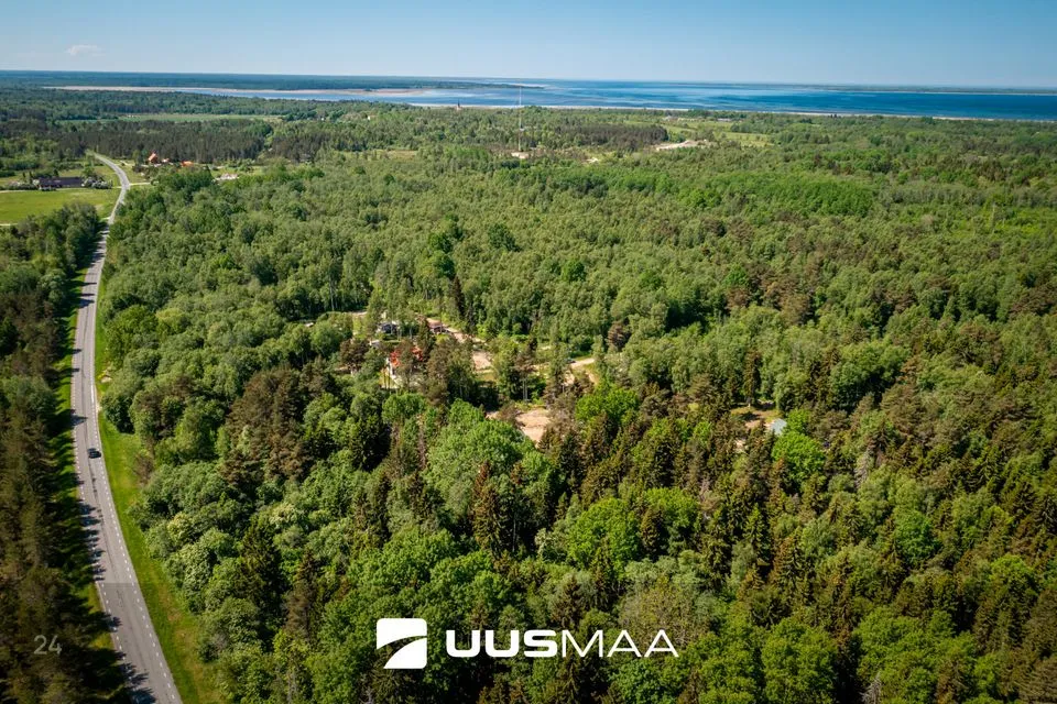 Elamumaa, 19268 m² Maa  -  Lääne-Harju vald, Madise küla - foto 4