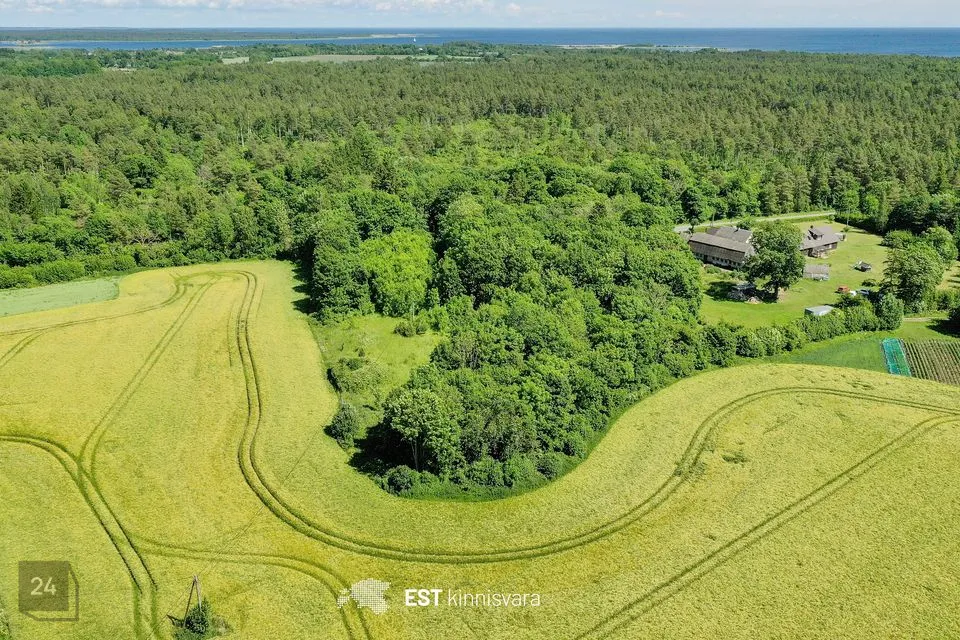 Maatulundusmaa, 12000 m² участок в Saaremaa vald, Valjala-Nurme küla - фото 2