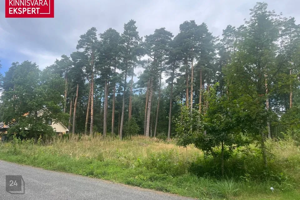 Residential land, 2007 m² land in Pärnu linn, Papsaare küla - photo 2