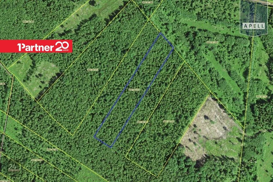 Maatulundusmaa, 21153 m² Maa  -  Lääne-Harju vald, Laane küla - foto 2