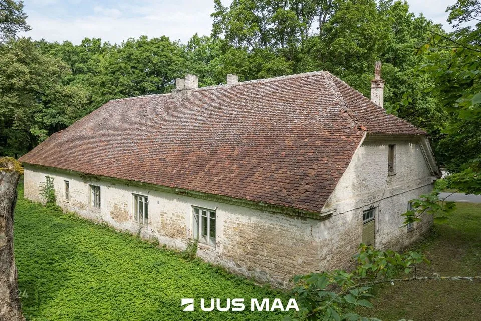 Tootmismaa, 13061 m² Maa  -  Lääneranna vald, Vanamõisa küla - foto 2