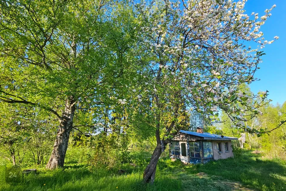 2-toaline Maja - Räpina vald, Sikakurmu küla - foto 4