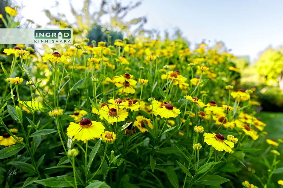 1-room Summer home in Viimsi vald, Muuga küla - photo 5