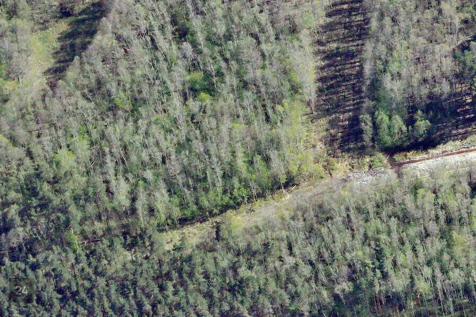 Земля жилой застройки, 5937 m² участок в Lääne-Nigula vald, Österby küla
