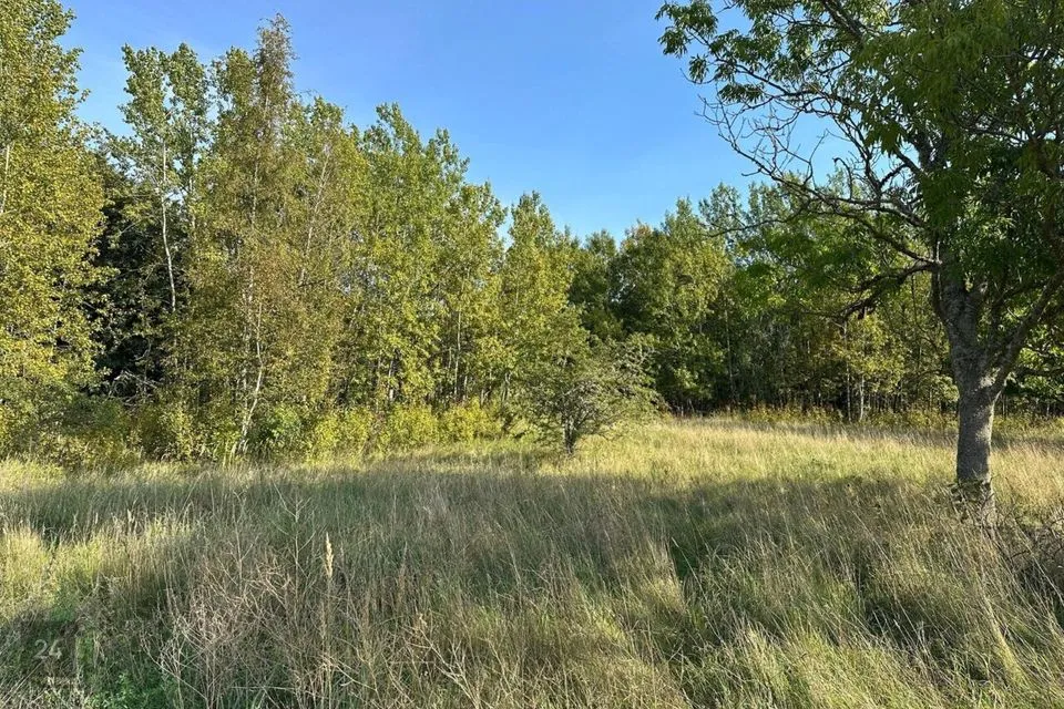 Maatulundusmaa, 124406 m² Maa - Saaremaa vald, Sääre küla - foto 5