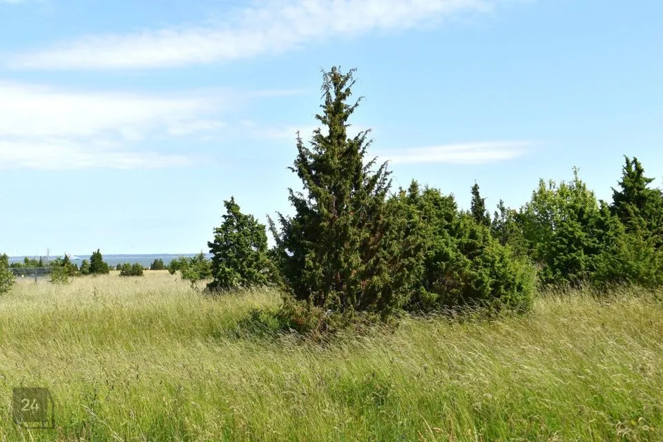 Земля жилой застройки, 9645 m² участок в Muhu vald, Võiküla - фото 4