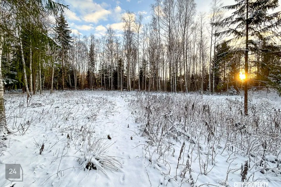 Земля жилой застройки, 1628 m² участок в Saue vald, Kibuna küla - фото 5