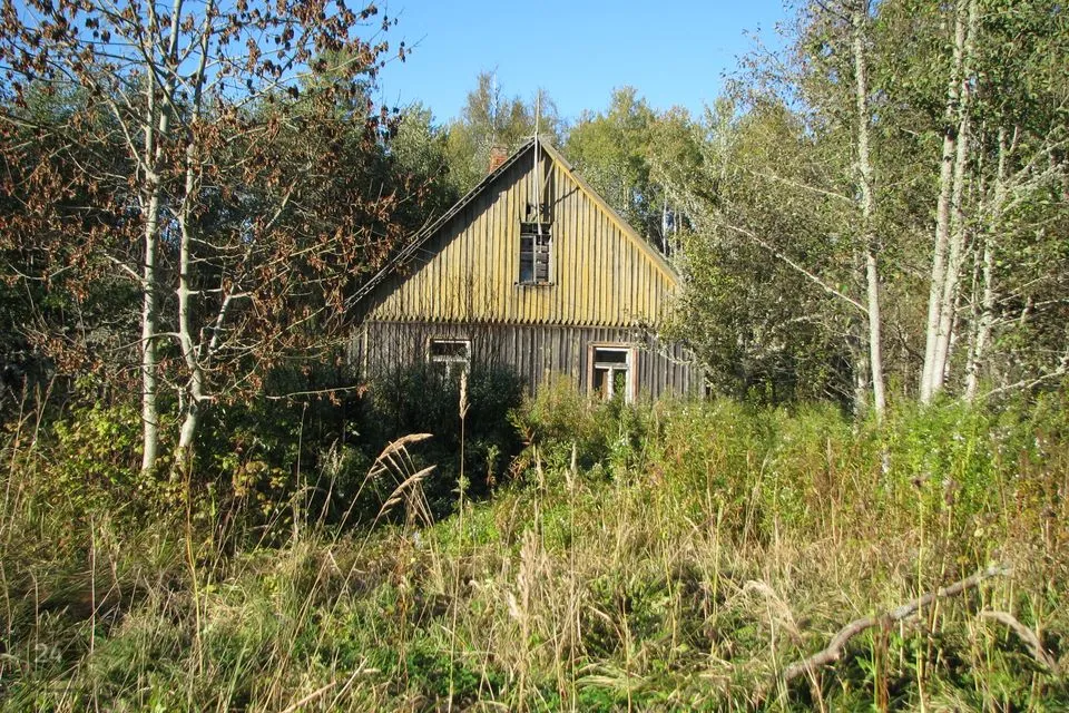 Elamumaa, 22840 m² Maa - Häädemeeste vald, Majaka küla - foto 4