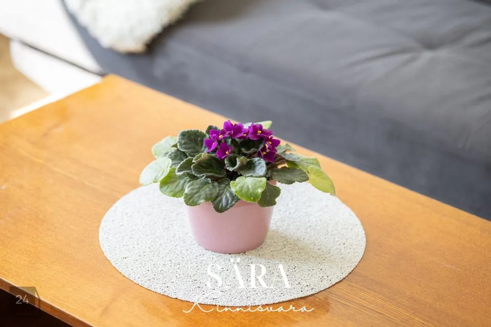 1-toaline Korter - Rae vald, Jüri alevik - foto 4