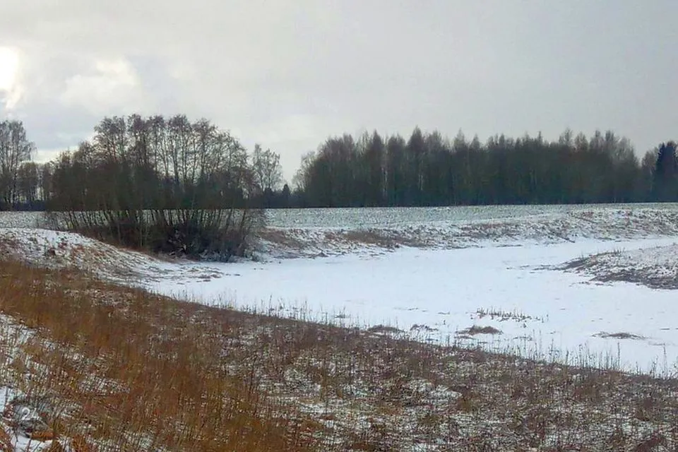 Maatulundusmaa, 26683 m² Maa  -  Märjamaa vald, Sääla küla - foto 3