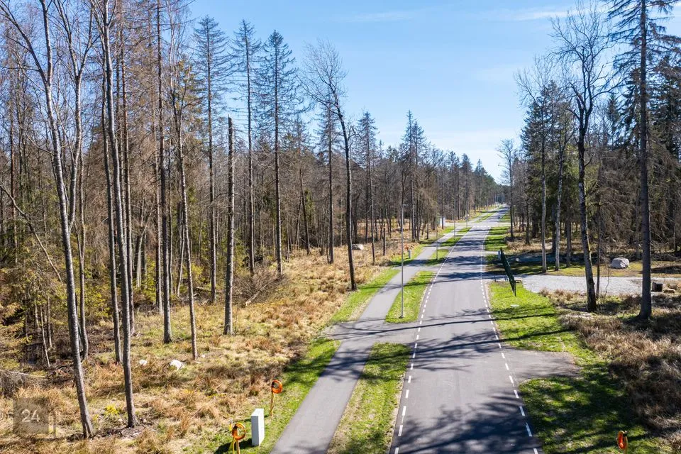 Земля жилой застройки, 3505 m² участок в Viimsi vald, Pringi küla - фото 2